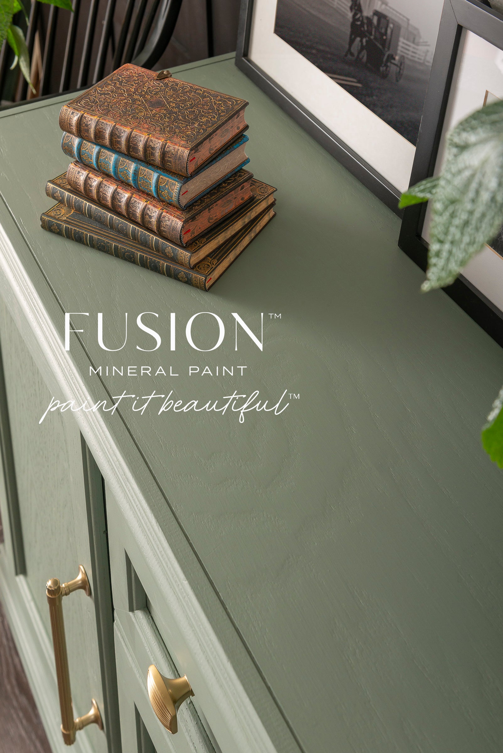 Fusion Mineral Paint Carriage House