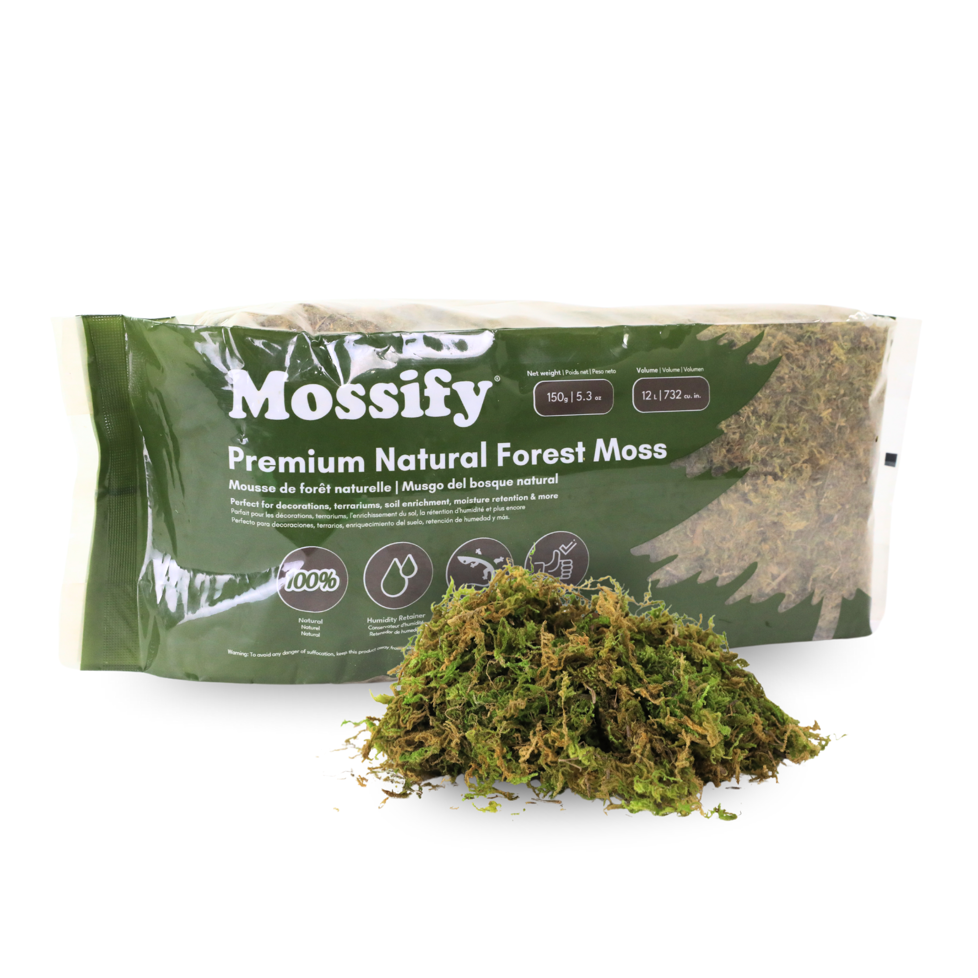 Premium Natural Forest Moss
