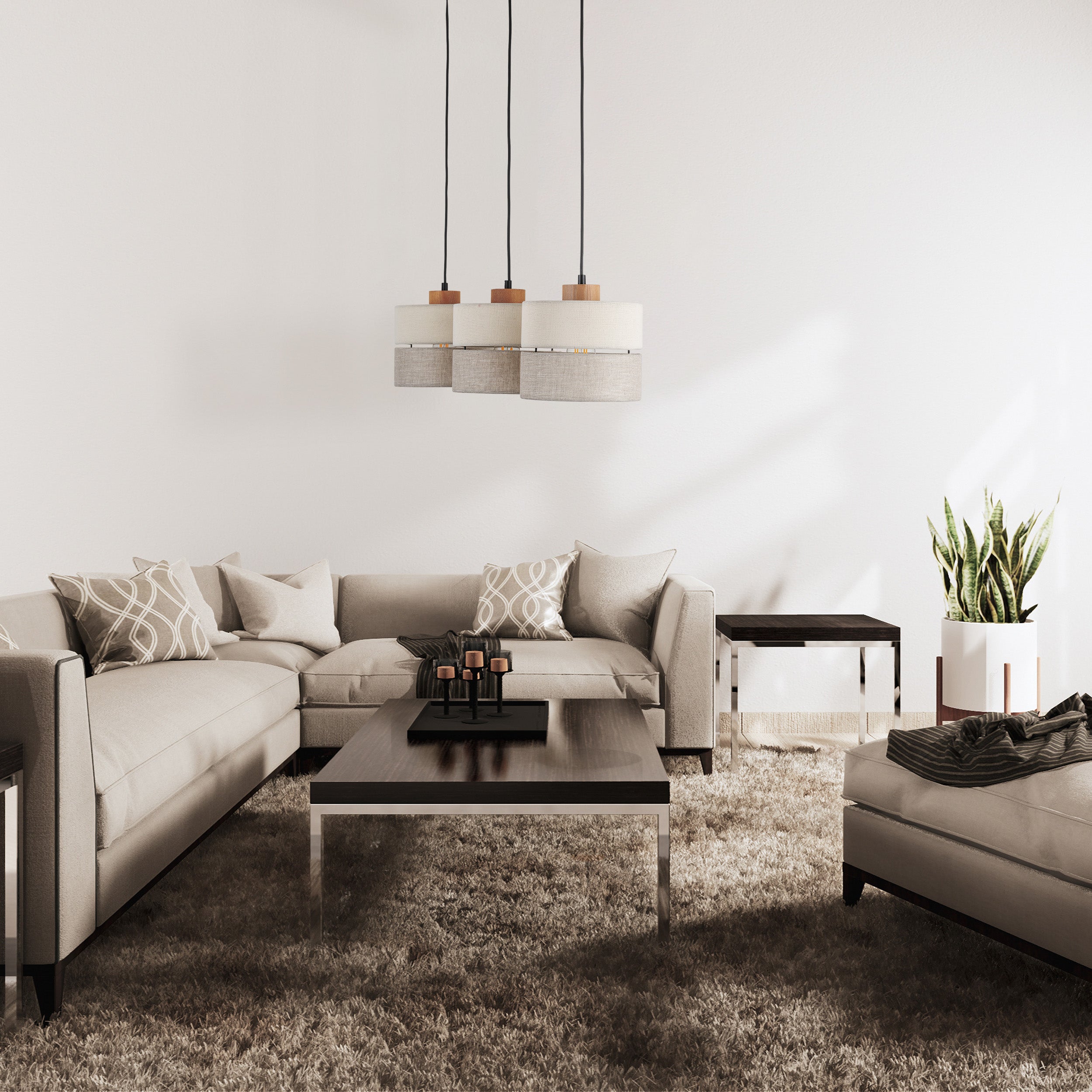 ECO Scandinavian Pendant  Light 3