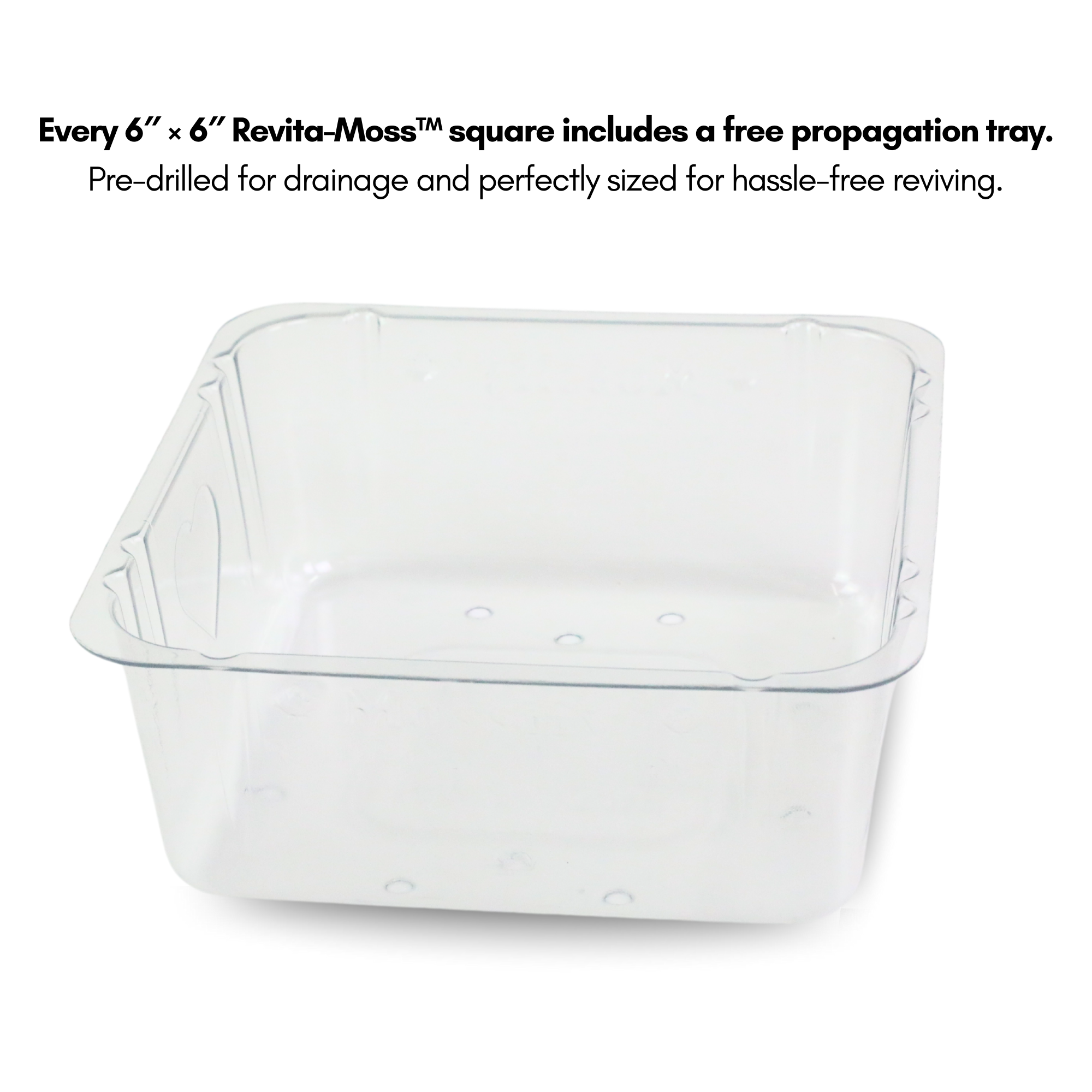 Natural Canadian Sphagnum Moss - Revita-Moss