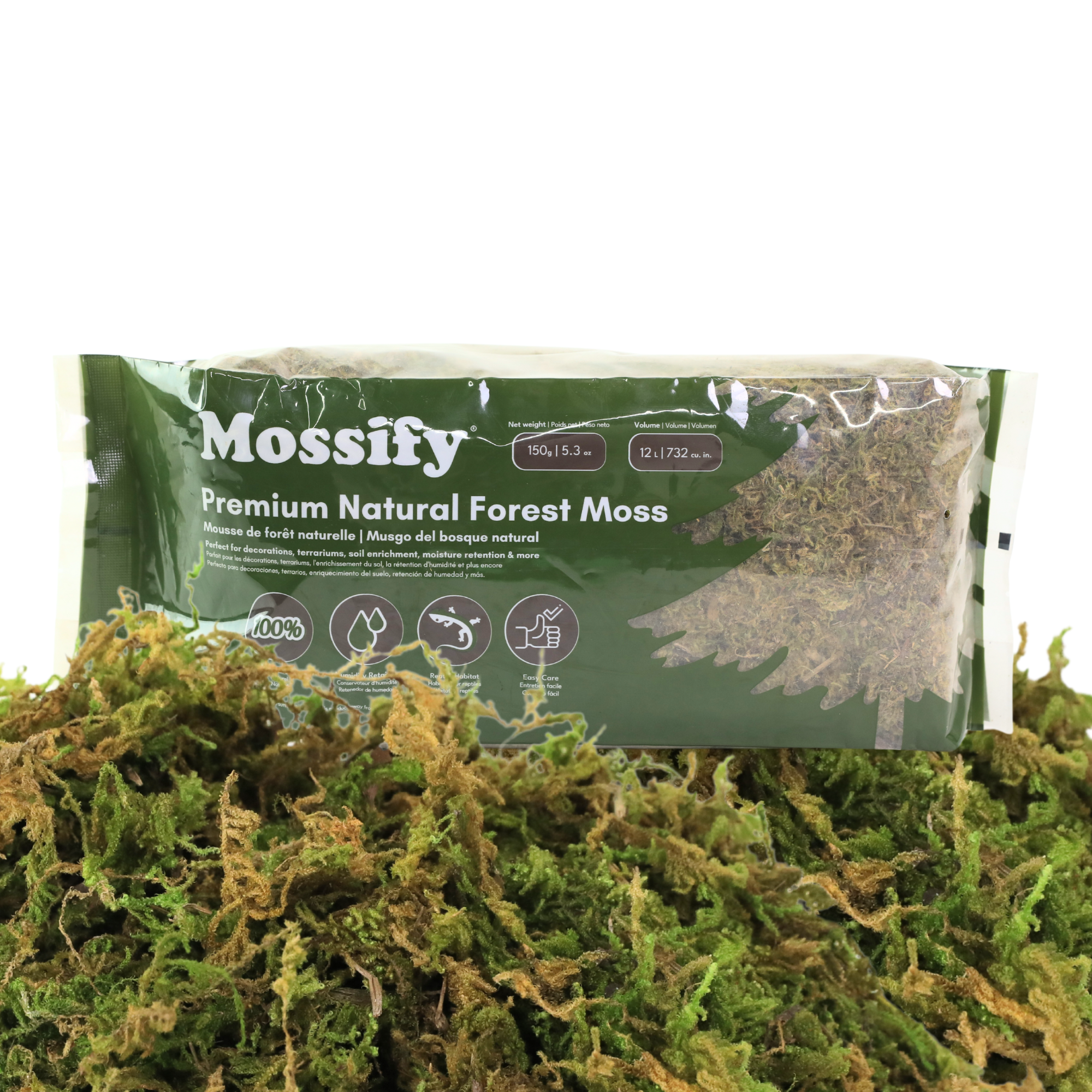 Premium Natural Forest Moss