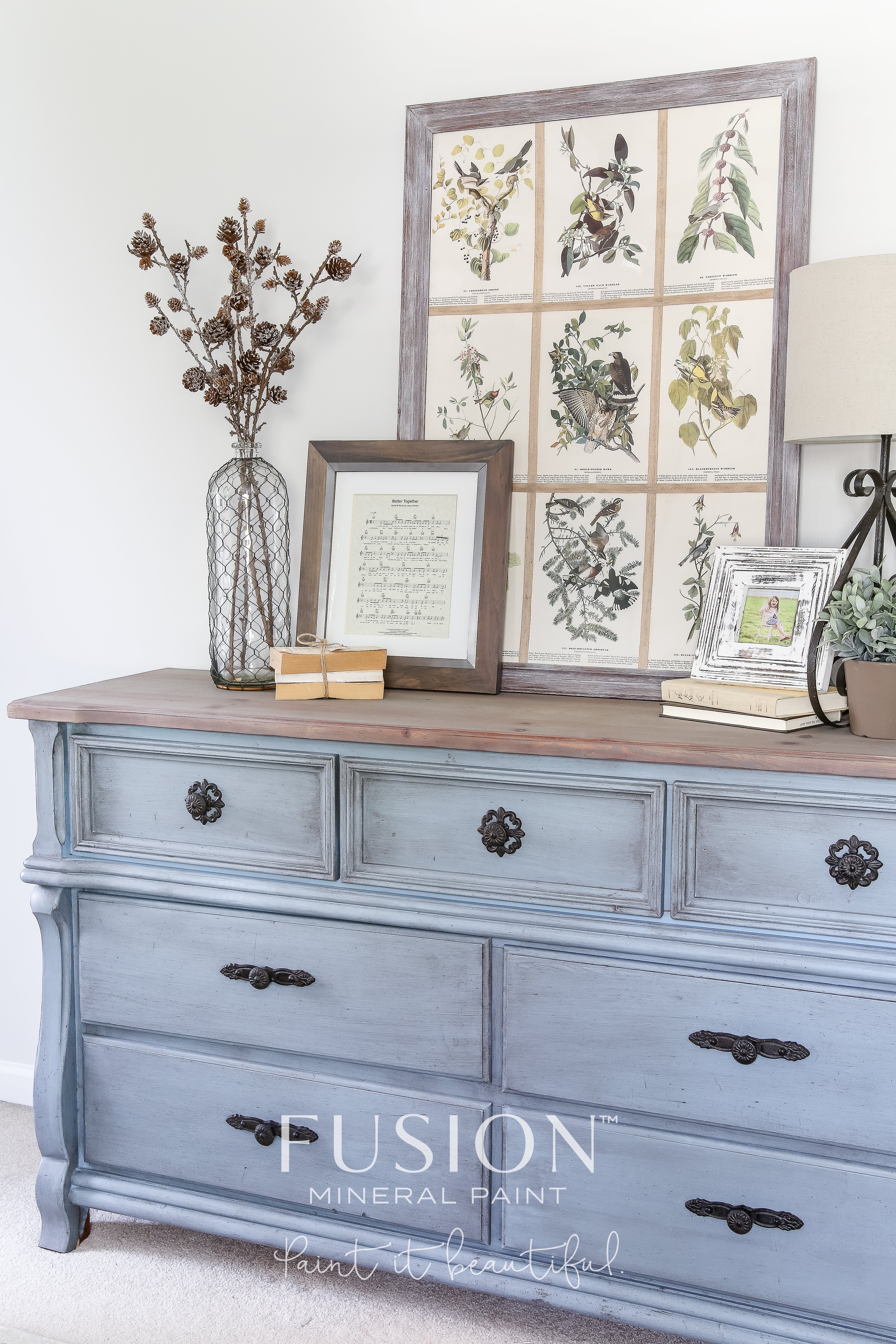 Fusion Mineral Paint Champness