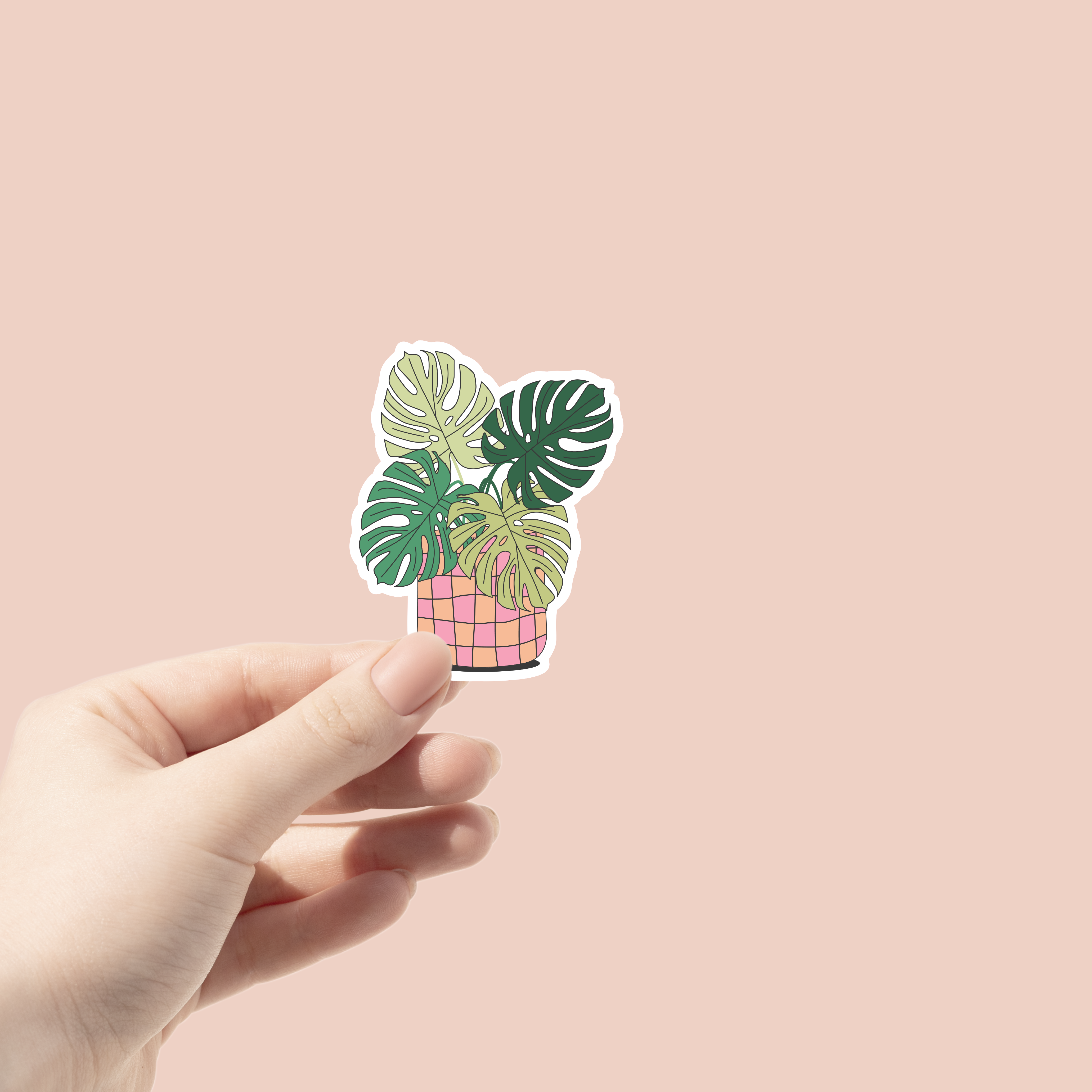 Monstera Plant Sticker
