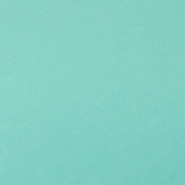 Clairefontaine - Maya Cardstock 120lb Paper - 20x28" - Art Noise