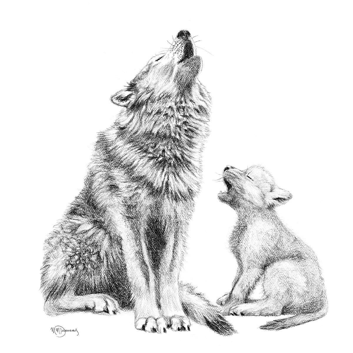 Wolf Howling with Cub Illustration - "Social Animal" Collection