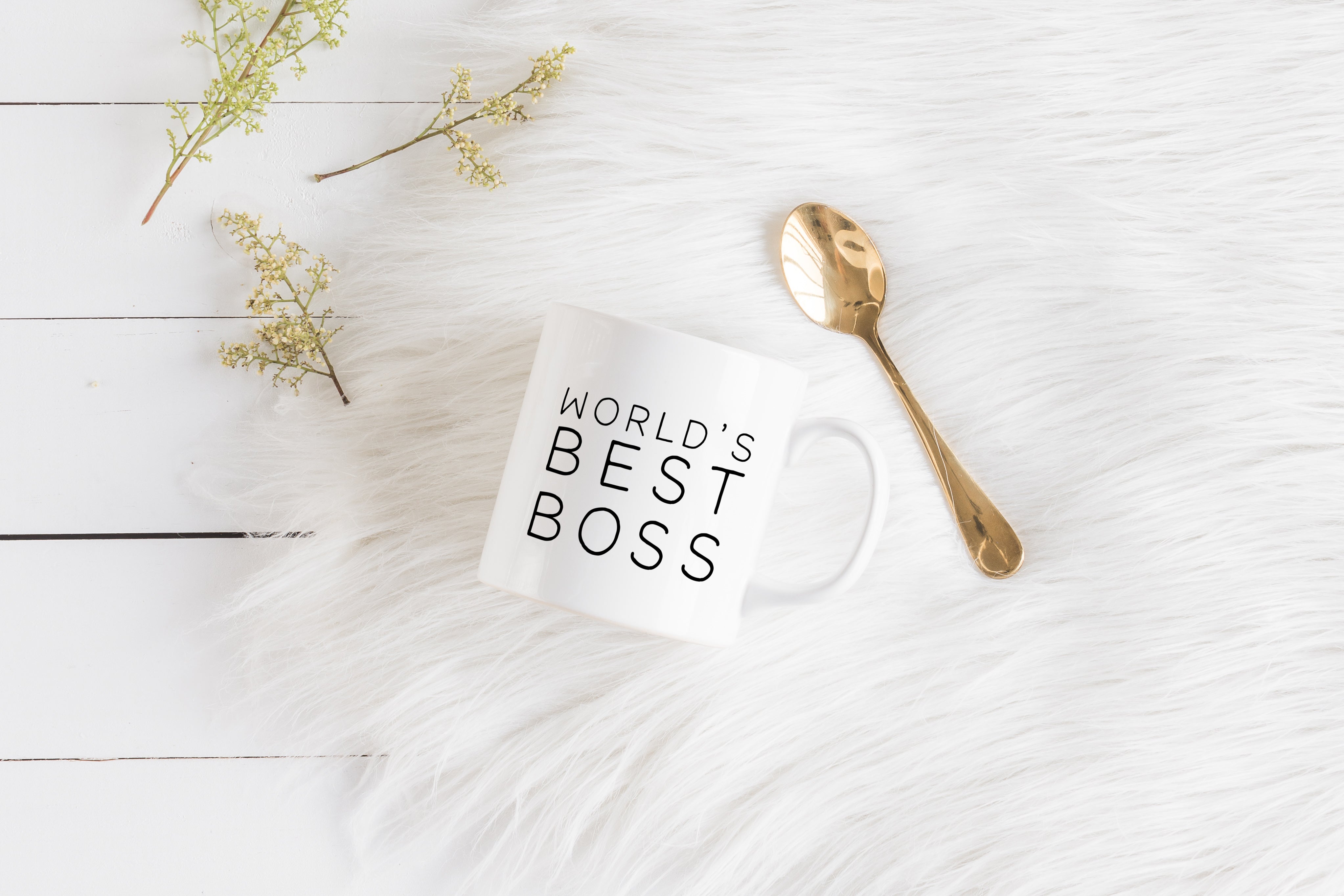 World's Best Boss Mug