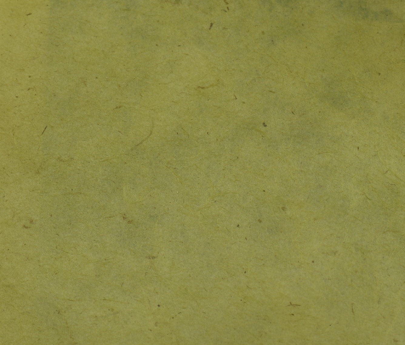 Tibetan Paper & Handicraft - Himalayan Lokta Paper - Vegetable Solid - 20x30" - Art Noise