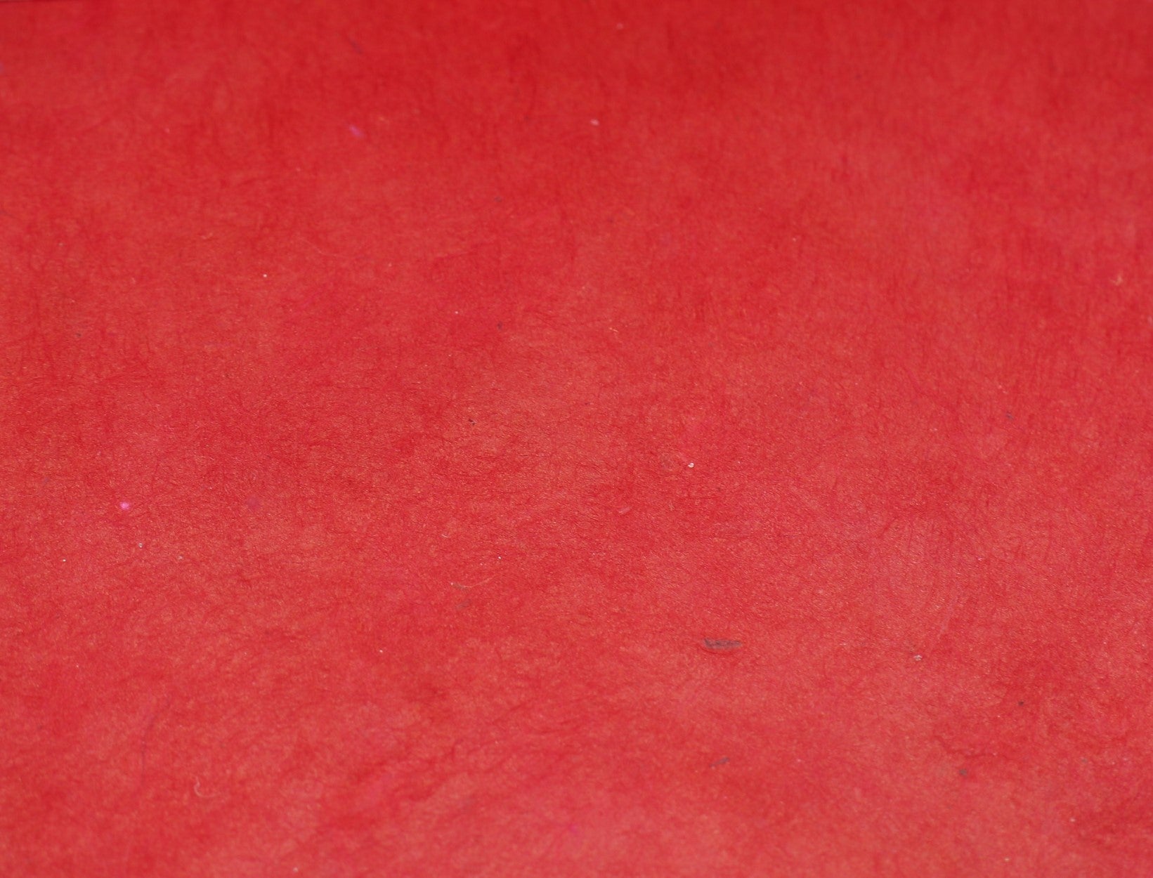 Tibetan Paper & Handicraft - Himalayan Lokta Paper - Vegetable Solid - 20x30" - Art Noise