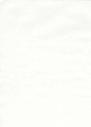 Japanese Paper - Tomoe River Cream - Individual Sheets - Art Noise