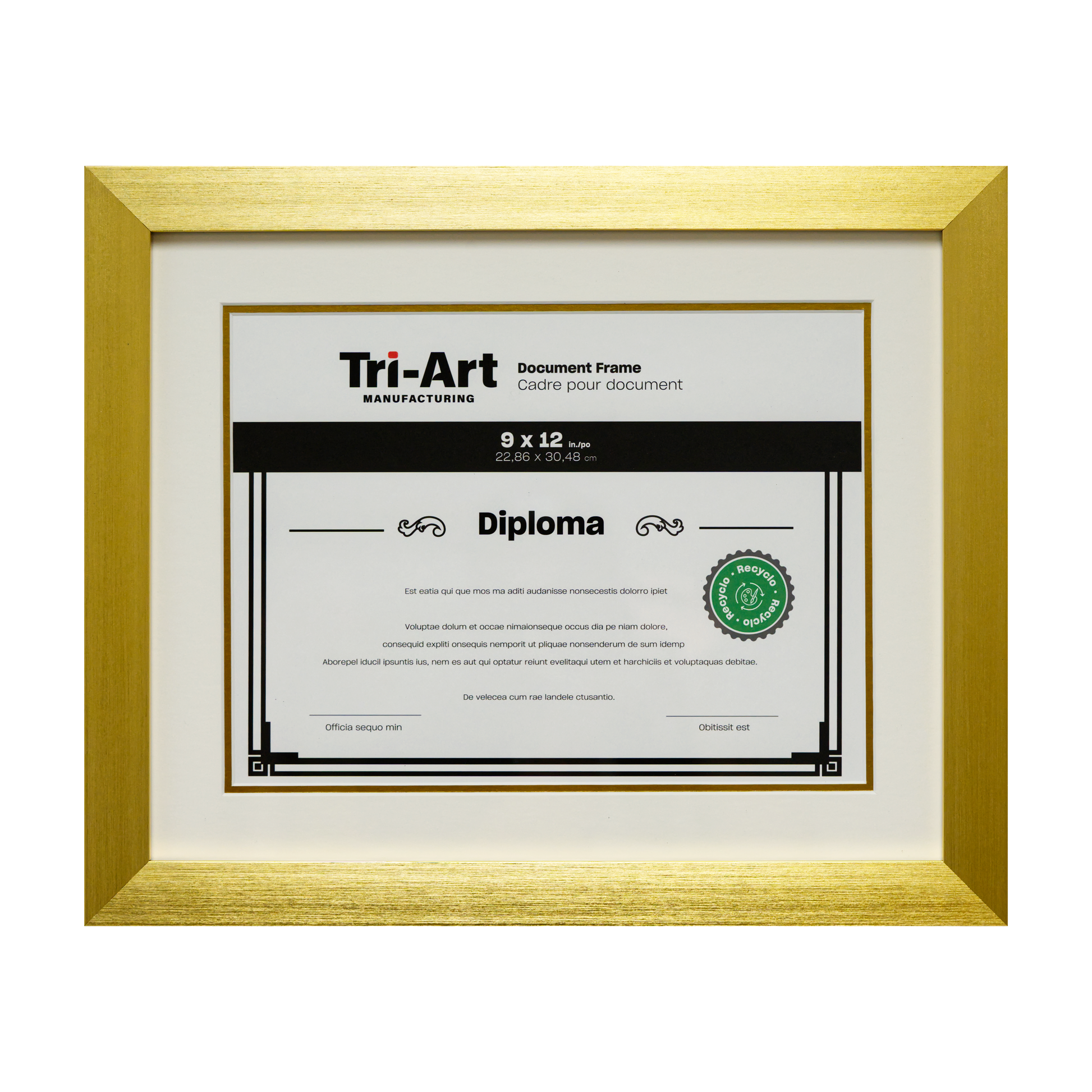 Diploma Frames - Art Noise