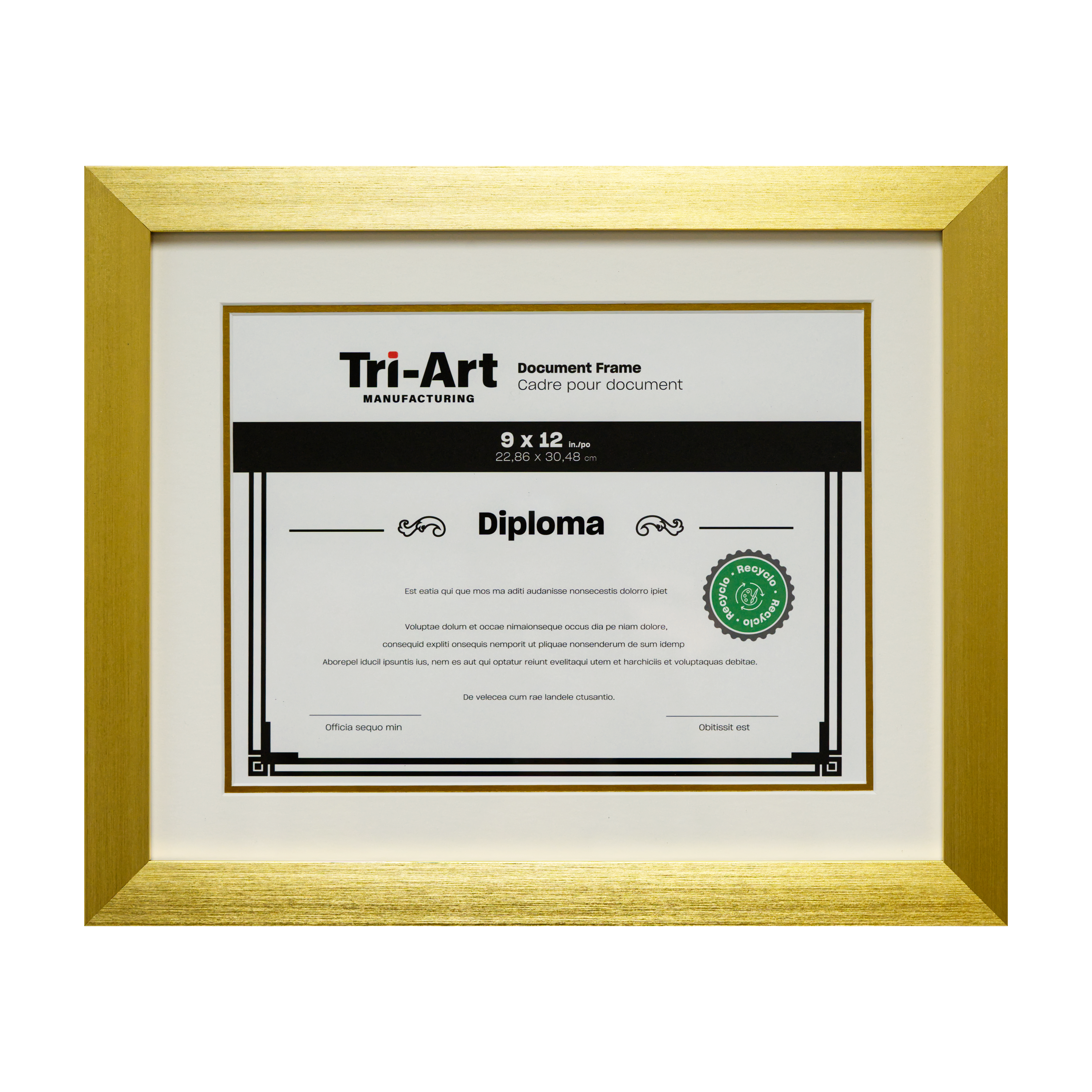 Diploma Frames - Art Noise
