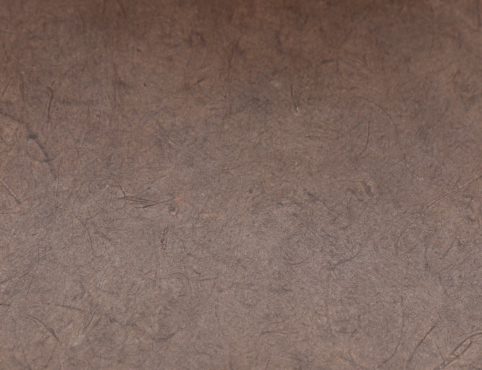 Tibetan Paper & Handicraft - Himalayan Lokta Paper - Vegetable Solid - 20x30" - Art Noise