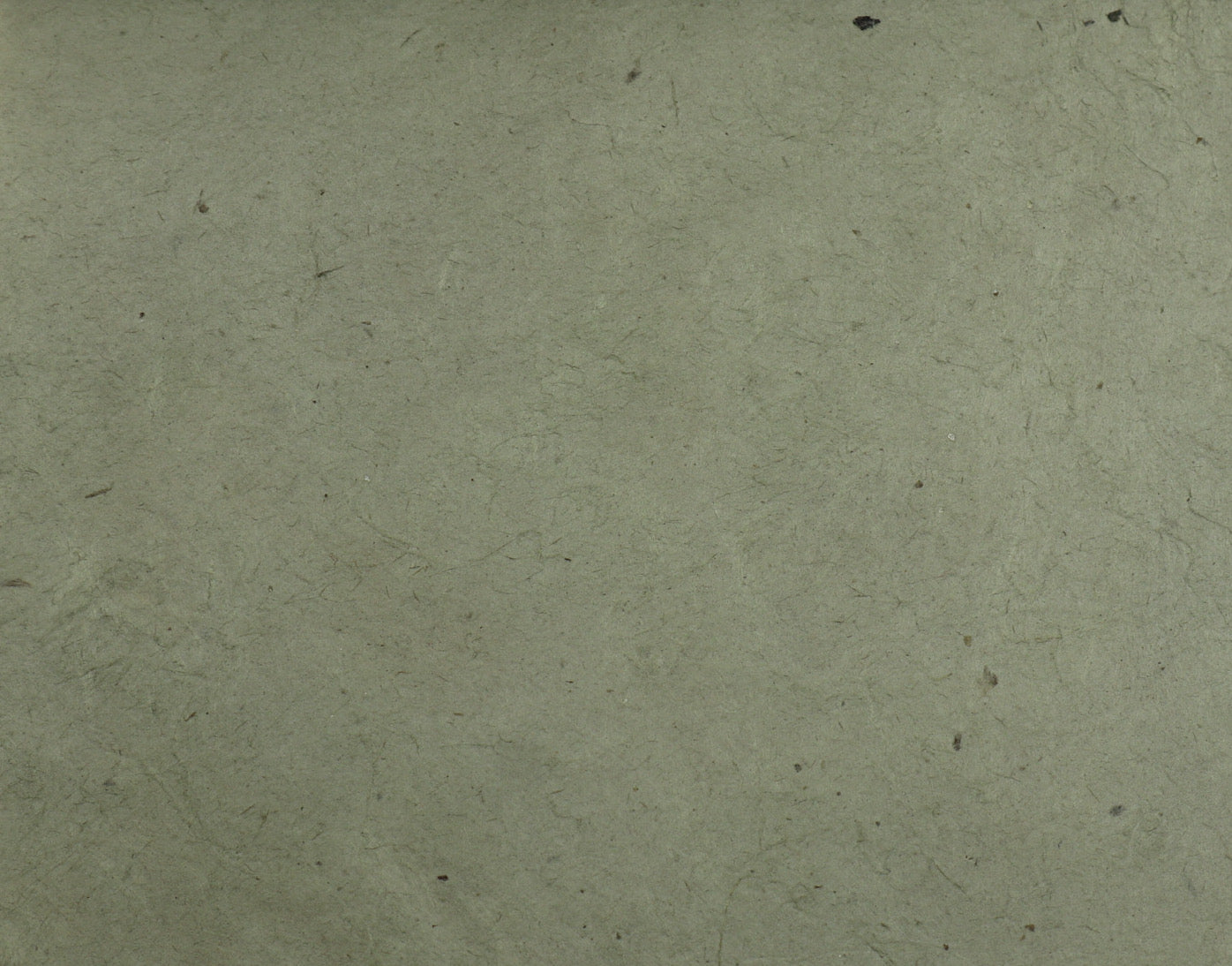 Tibetan Paper & Handicraft - Himalayan Lokta Paper - Vegetable Solid - 20x30" - Art Noise