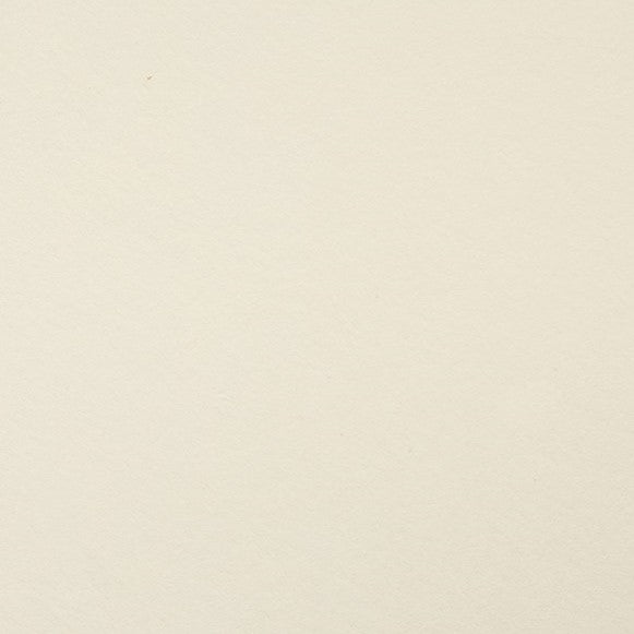 Clairefontaine - Maya Cardstock 120lb Paper - 8¼x11¾" - Art Noise