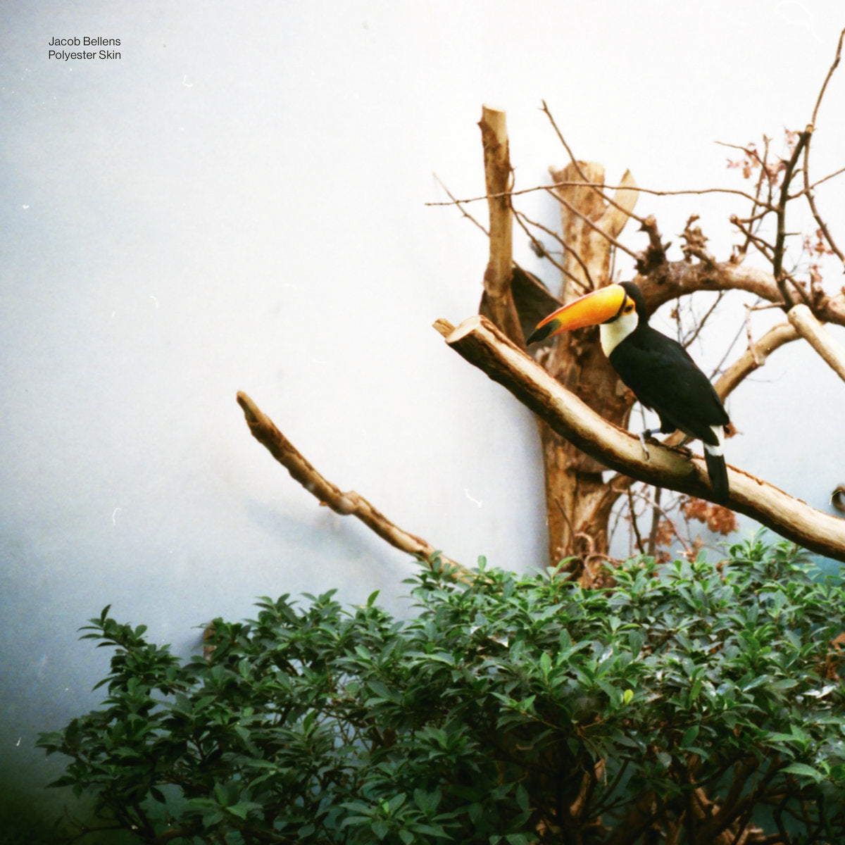 Jacob Bellens - Polyester Skin (LP) - Art Noise