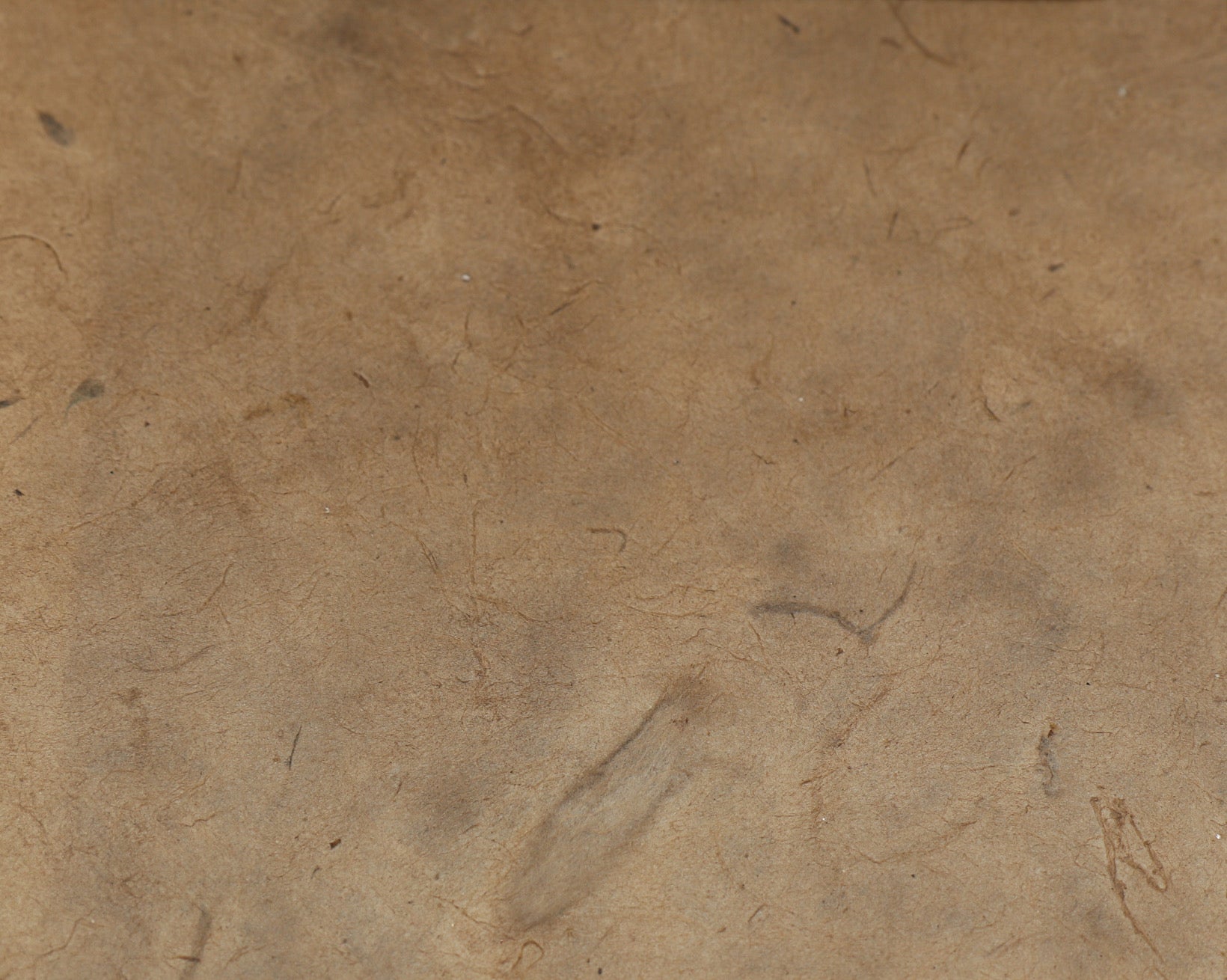 Tibetan Paper & Handicraft - Himalayan Lokta Paper - Vegetable Solid - 20x30" - Art Noise