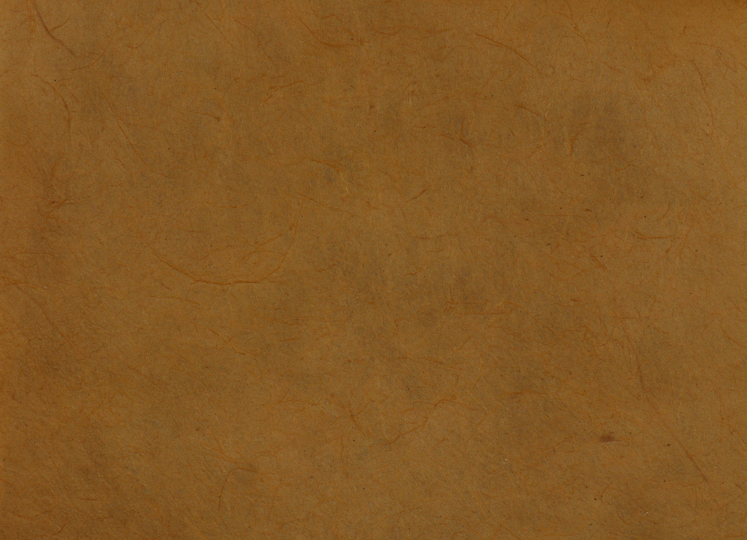 Tibetan Paper & Handicraft - Himalayan Lokta Paper - Vegetable Solid - 20x30" - Art Noise