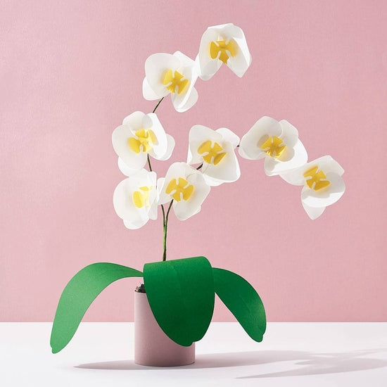 Paper Source - Potted Orchid Paper DIY Craft Kit
