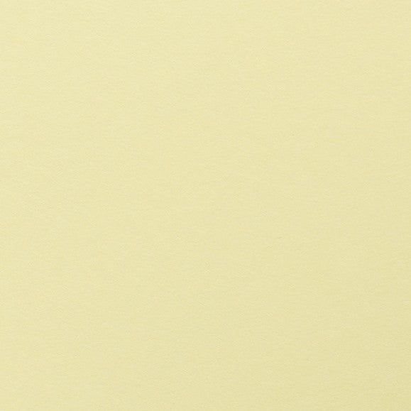 Clairefontaine - Maya Cardstock 120lb Paper - 8¼x11¾" - Art Noise