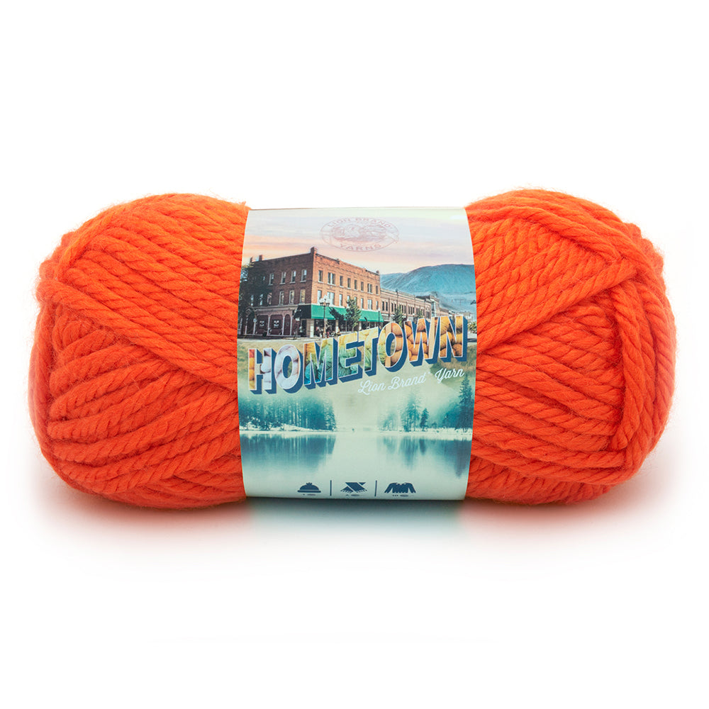 Lion - Hometown Yarn - 142g - Super Bulky 6 - 74m (81yds) - Syracuse Orange - Art Noise