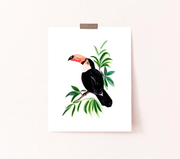 Sabina Fenn - Toucan Art Print - Art Noise