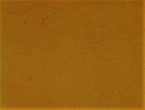 Tibetan Paper & Handicraft - Himalayan Lokta Paper - Vegetable Solid - 20x30" - Art Noise