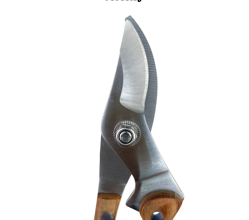 Garden Utility Shears