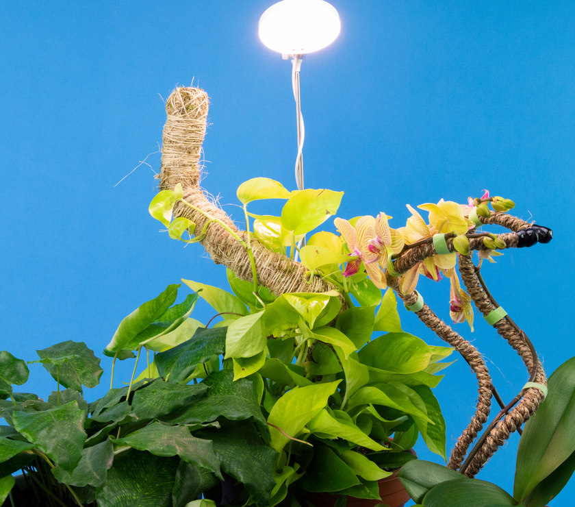 Adjustable LED Plant Light