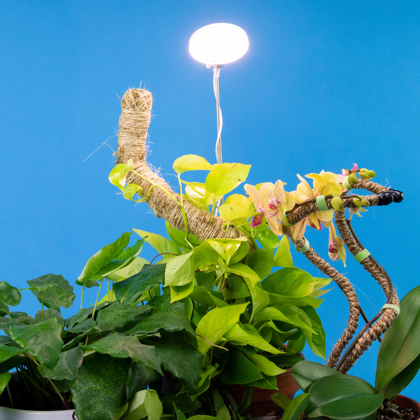 Adjustable LED Plant Light