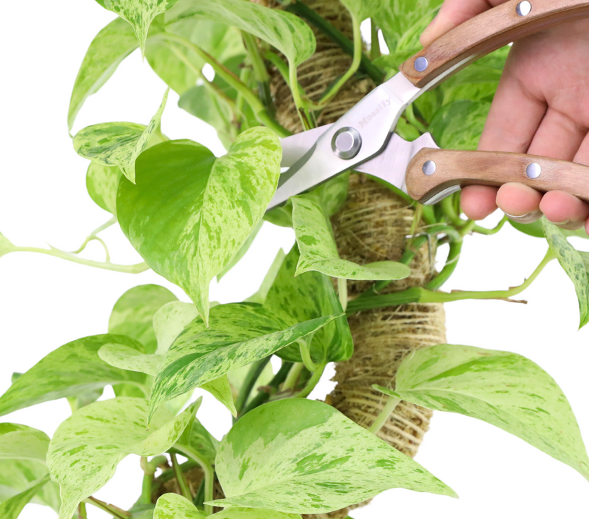 Slim Garden Utility Shears