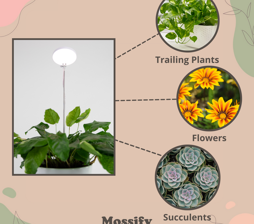 Adjustable LED Plant Light