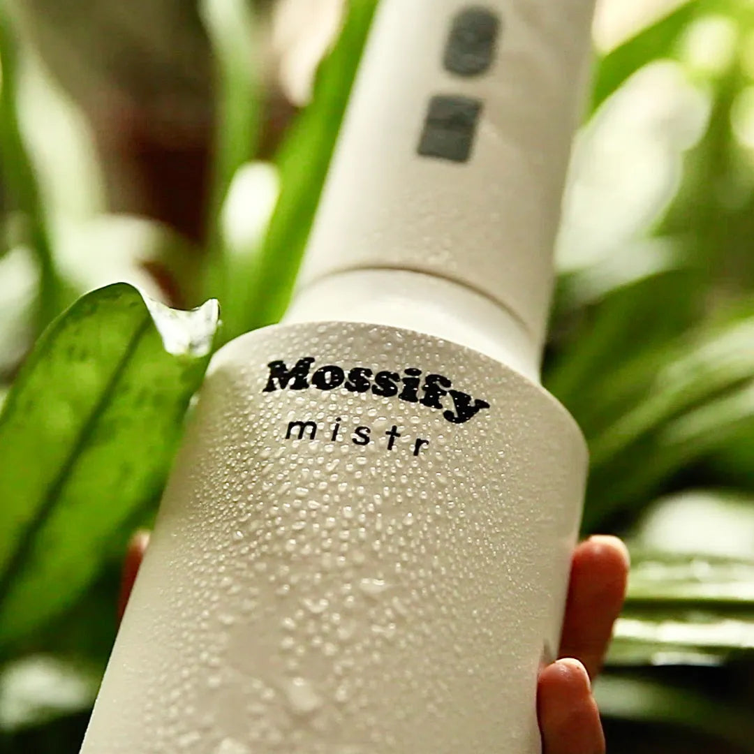 The Original Mossify mistr™ Mossify automatic water mister art-noise.myshopify.com the-original-mossify-mistr™ The Original Mossify mistr™ Mossify automatic water mister art-noise.myshopify.com the-original-mossify-mistr™