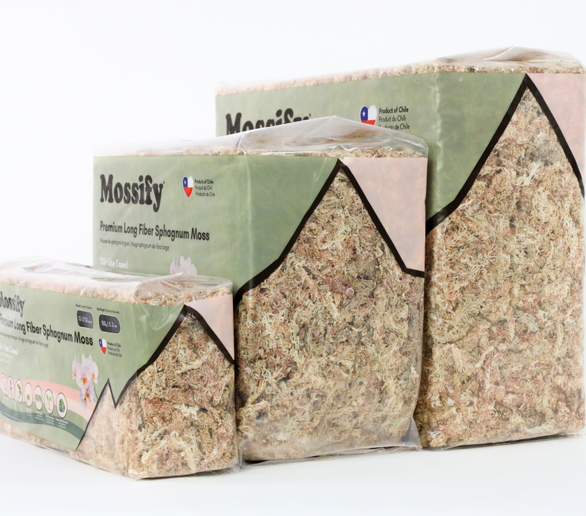Premium Sphagnum Moss
