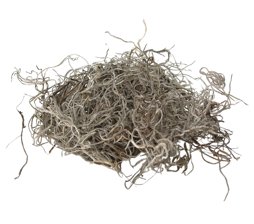 Premium Spanish Moss