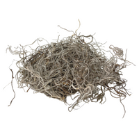 Premium Spanish Moss