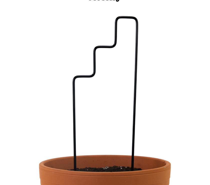 "Plant Stairs" Metal Trellis