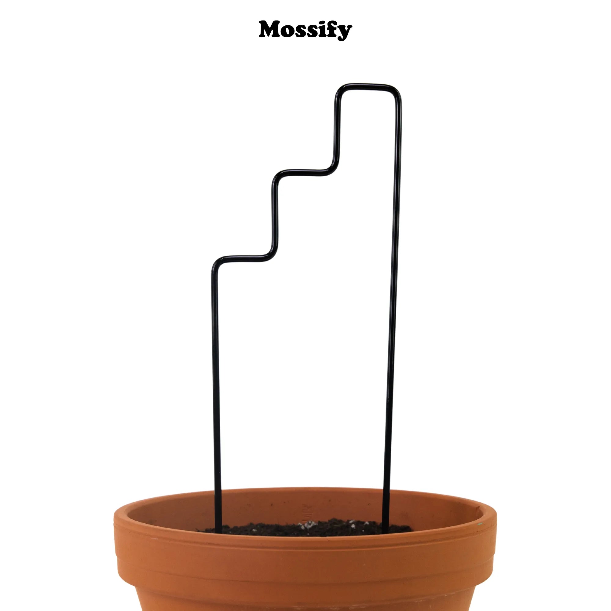 "Plant Stairs" Metal Trellis Mossify Accessories art-noise.myshopify.com plant-stairs-metal-trellis "Plant Stairs" Metal Trellis Mossify Accessories art-noise.myshopify.com plant-stairs-metal-trellis