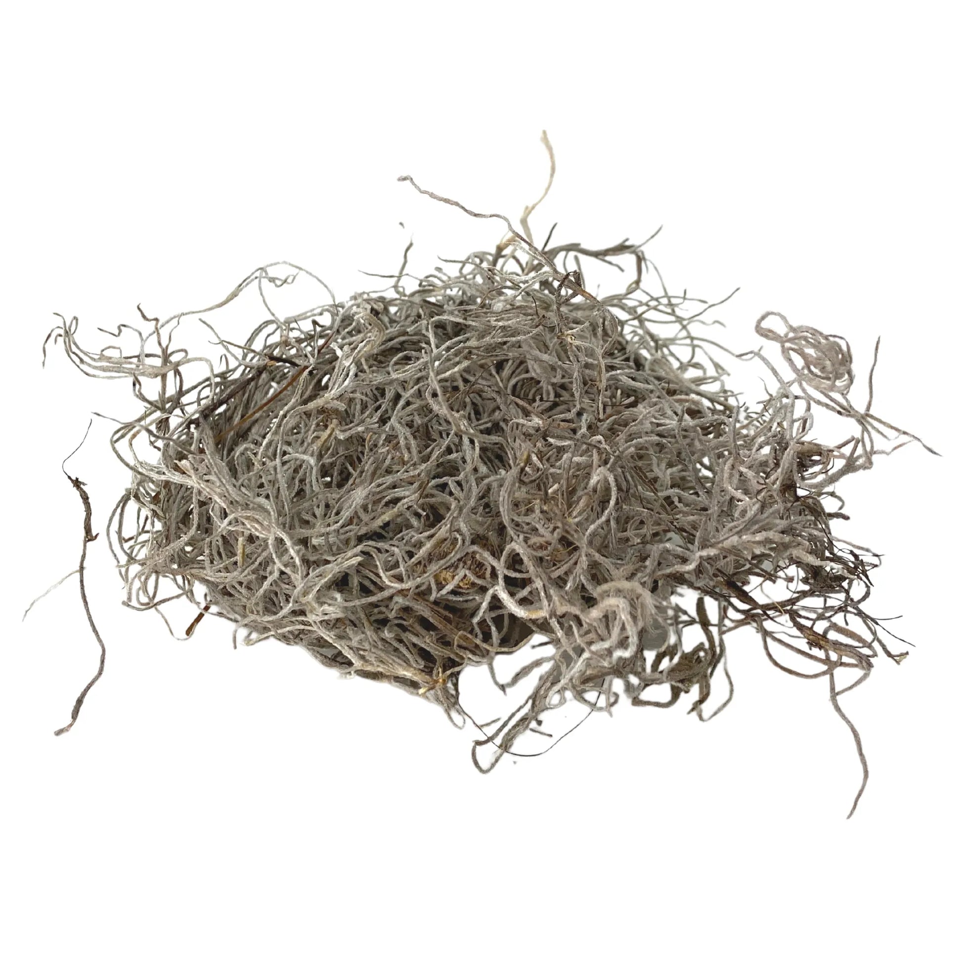 Premium Spanish Moss Mossify product_type art-noise.myshopify.com premium-spanish-moss Premium Spanish Moss Mossify  art-noise.myshopify.com premium-spanish-moss