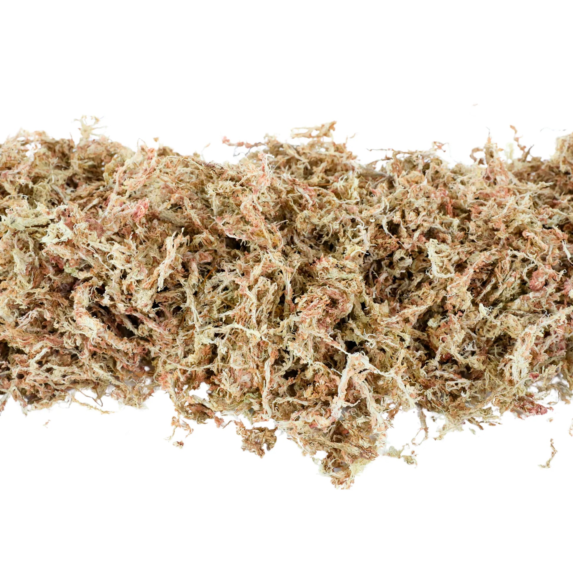 Premium Sphagnum Moss Mossify product_type art-noise.myshopify.com premium-sphagnum-moss Premium Sphagnum Moss Mossify  art-noise.myshopify.com premium-sphagnum-moss