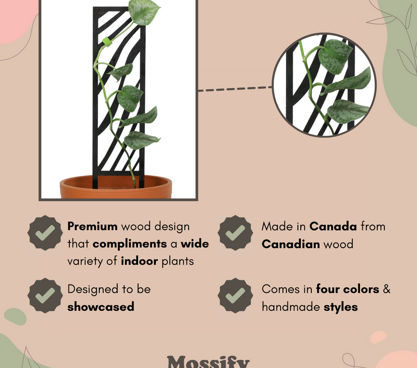 Zebra Wooden Trellis