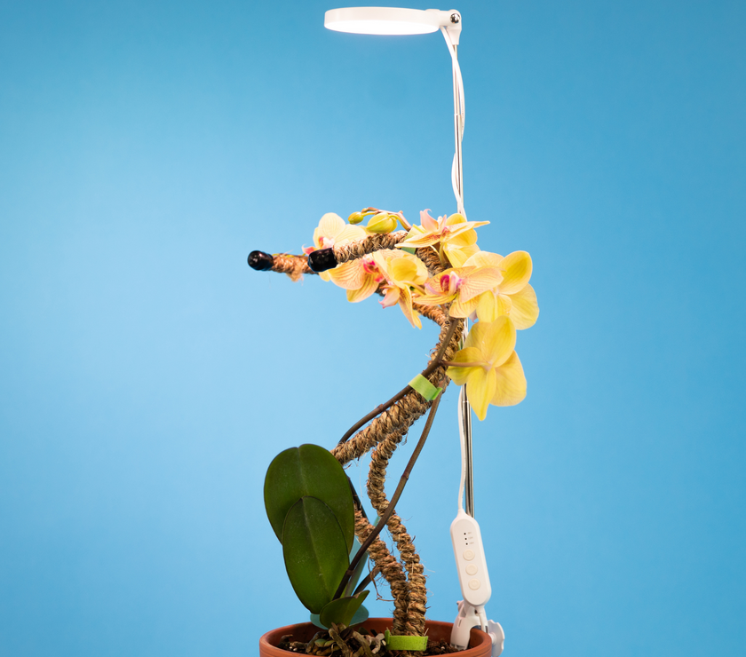 Adjustable LED Plant Light