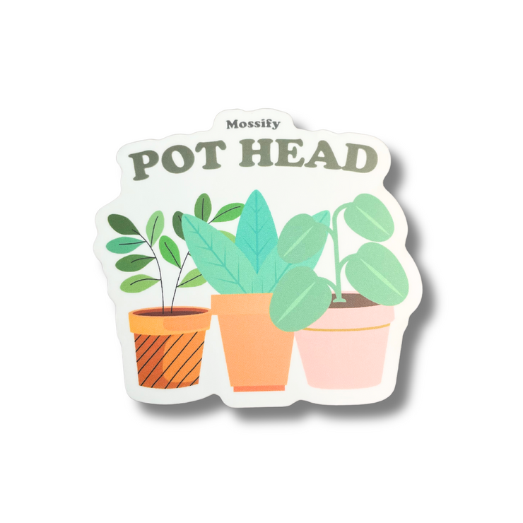 Mossify Stickers