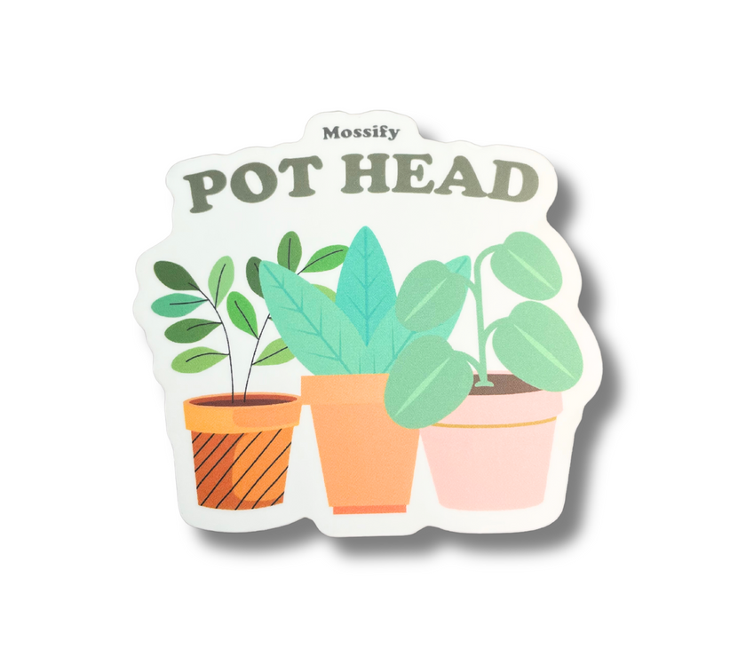 Mossify Stickers