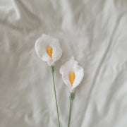 Calla Lily