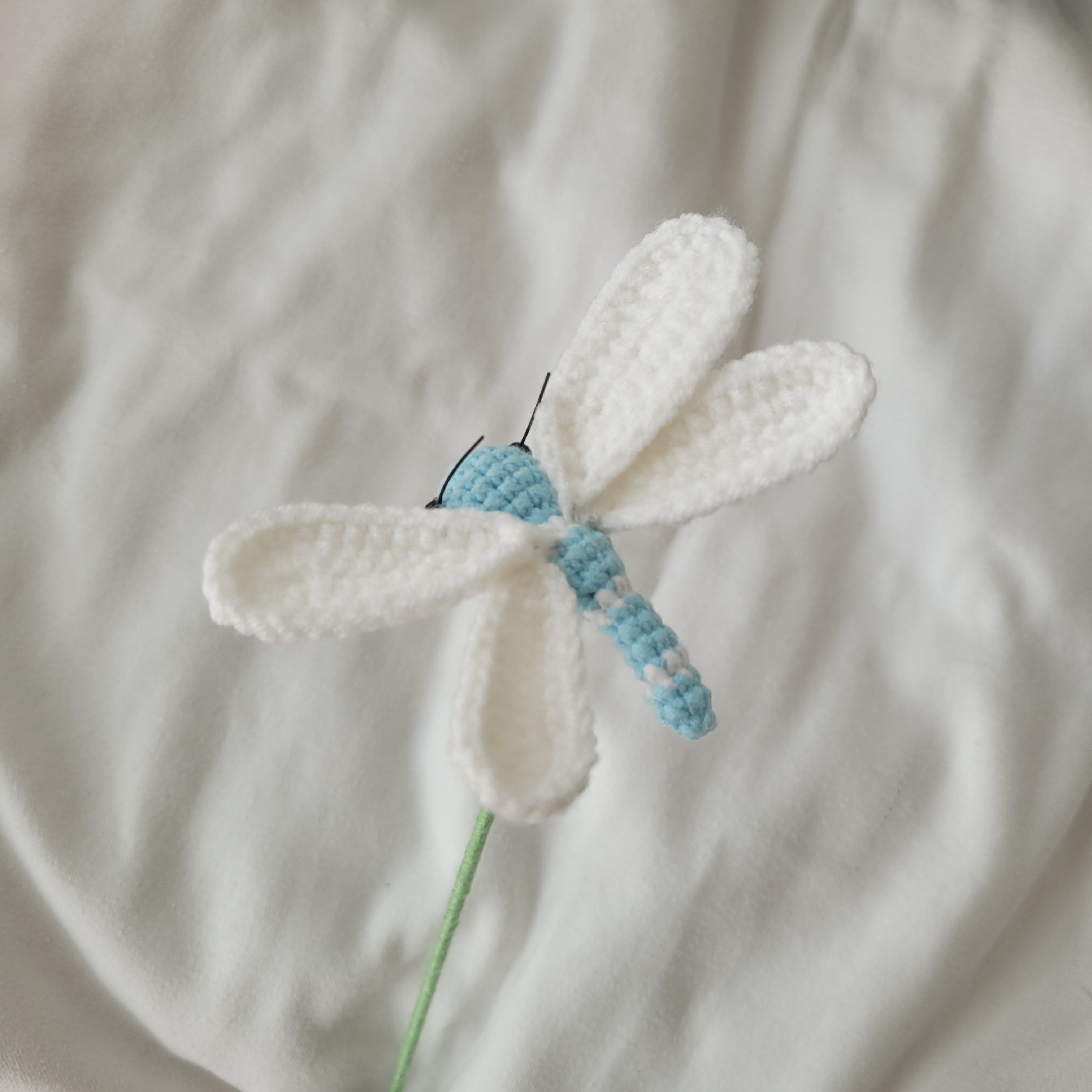 Buggies: Bees, Butterflies, and Dragonflies