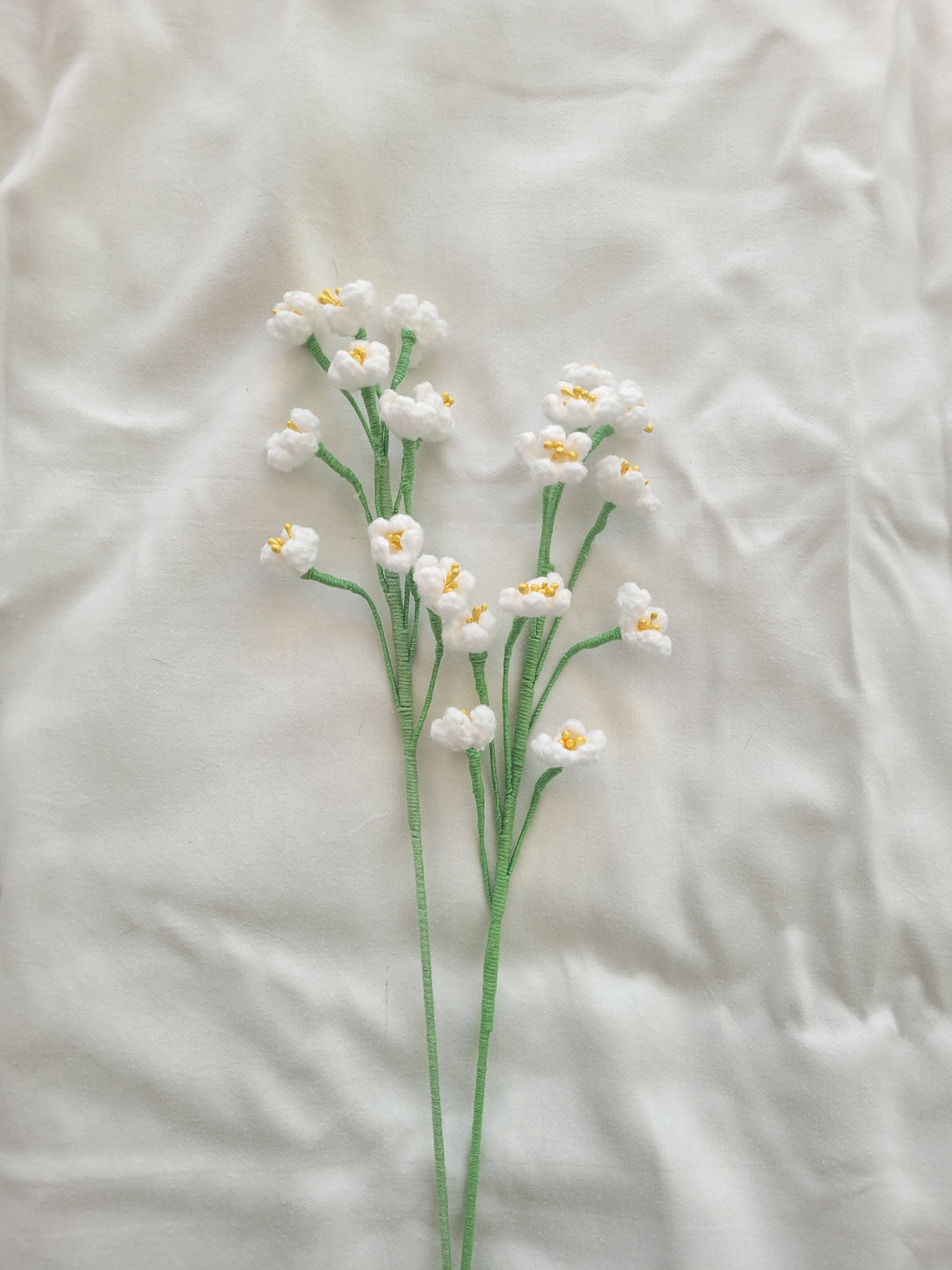 Baby's Breath
