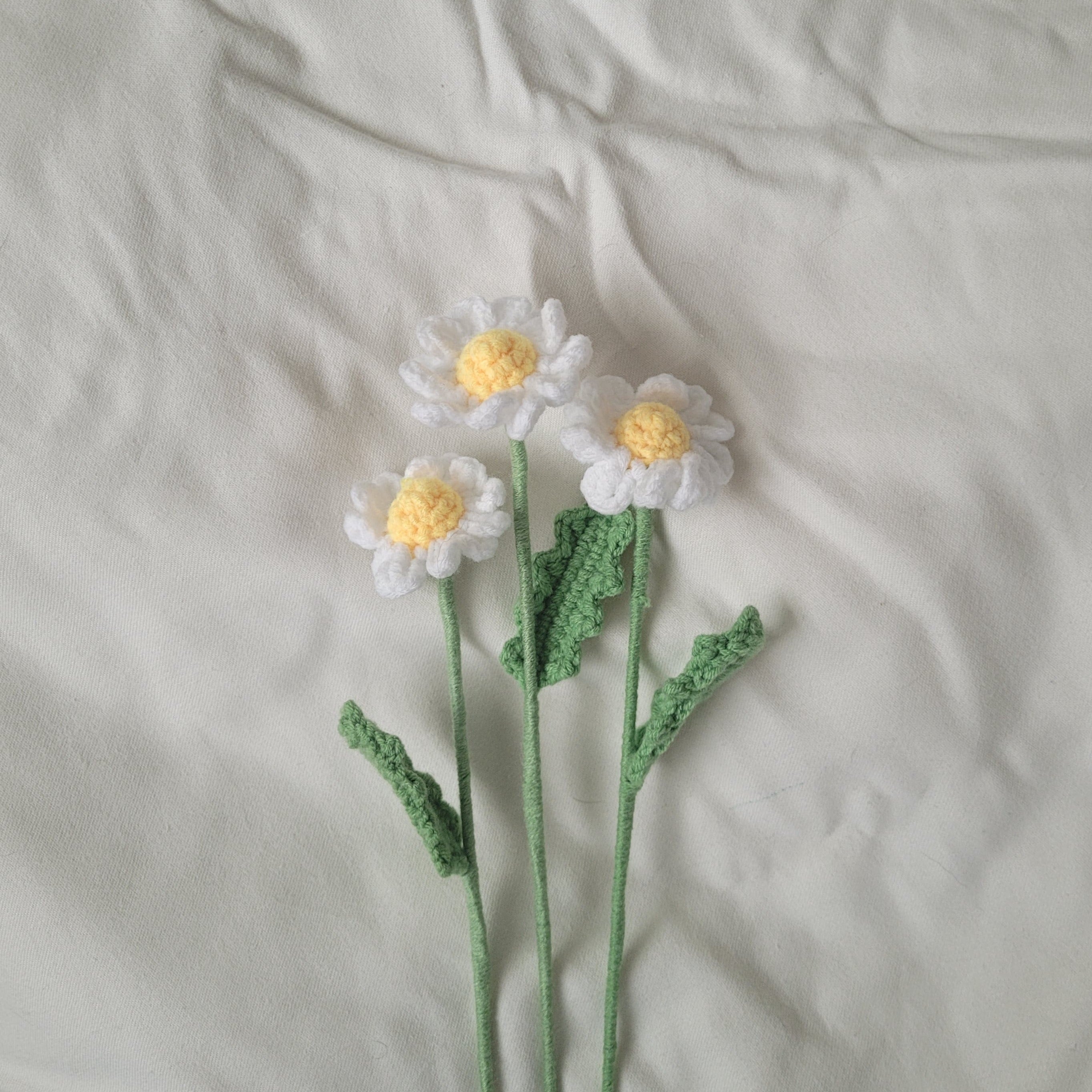 Daisy