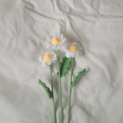 Daisy made with april product_type art-noise.myshopify.com daisy Daisy made with april  art-noise.myshopify.com daisy