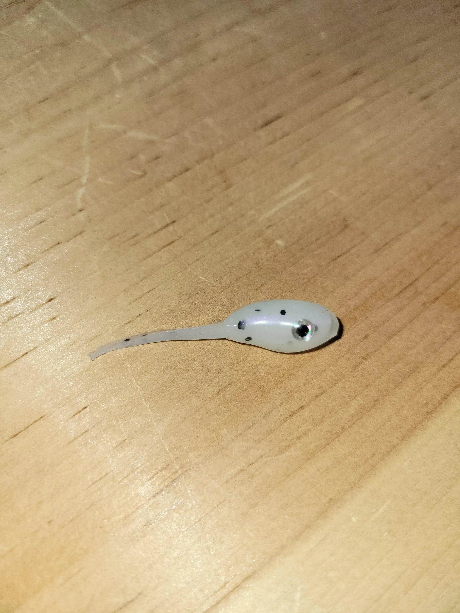 🍁Black Pine Mighty Minnows 2" Stony Tackle Shack Fishing Baits & Lures art-noise.myshopify.com black-pine-mighty-minnows-2-1 🍁Black Pine Mighty Minnows 2" Stony Tackle Shack Fishing Baits & Lures art-noise.myshopify.com black-pine-mighty-minnows-2-1