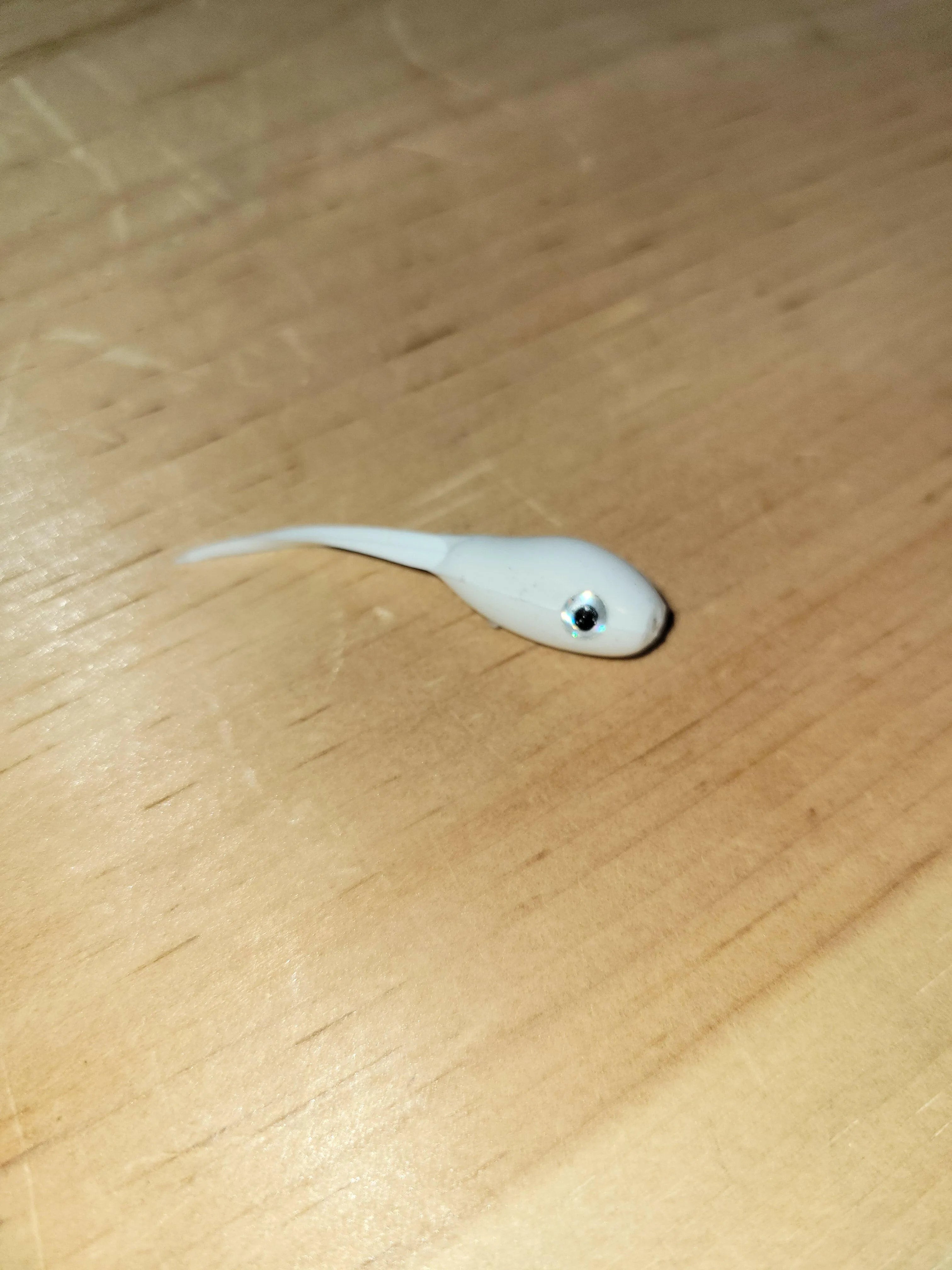 🍁Black Pine Mighty Minnows 2" Stony Tackle Shack Fishing Baits & Lures art-noise.myshopify.com black-pine-mighty-minnows-2-1 🍁Black Pine Mighty Minnows 2" Stony Tackle Shack Fishing Baits & Lures art-noise.myshopify.com black-pine-mighty-minnows-2-1